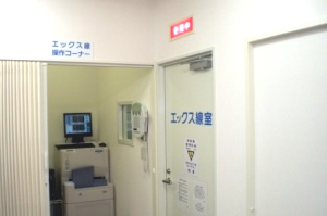 �@���̗l�q